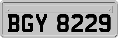 BGY8229