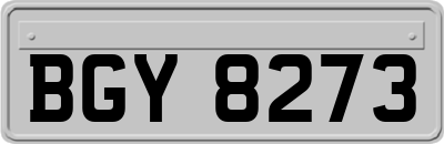 BGY8273