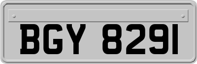 BGY8291