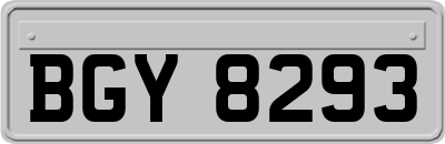 BGY8293