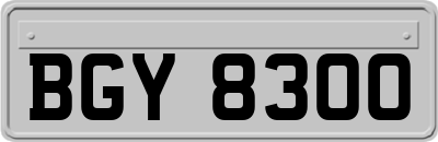 BGY8300