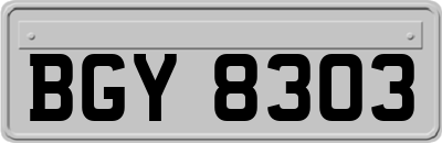 BGY8303