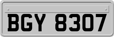 BGY8307