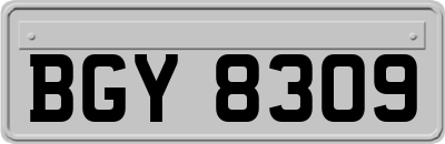 BGY8309