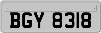 BGY8318