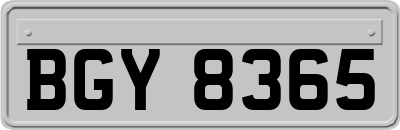 BGY8365