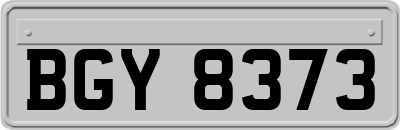 BGY8373
