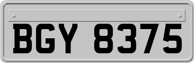 BGY8375