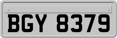BGY8379