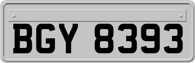 BGY8393