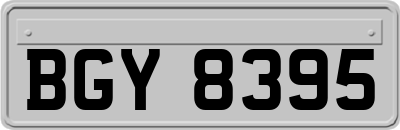 BGY8395