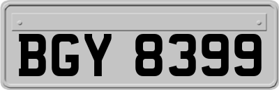 BGY8399