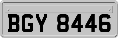 BGY8446