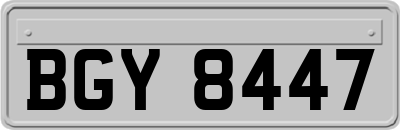 BGY8447