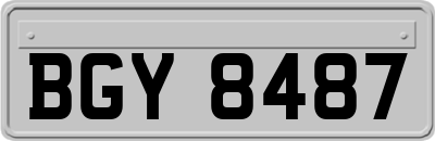 BGY8487