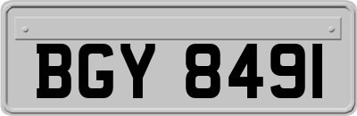 BGY8491