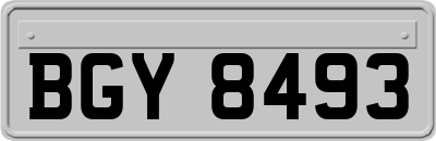 BGY8493