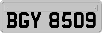 BGY8509