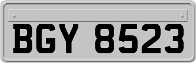 BGY8523