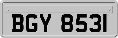 BGY8531