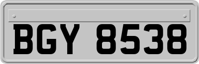 BGY8538