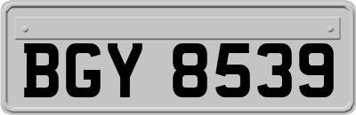 BGY8539