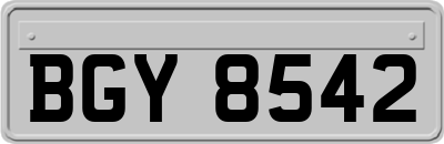 BGY8542