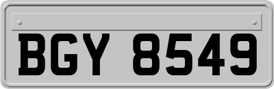 BGY8549