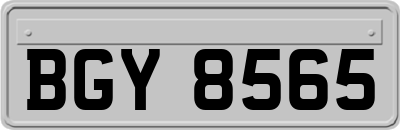 BGY8565