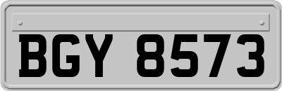 BGY8573