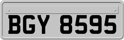 BGY8595