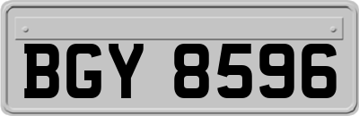 BGY8596