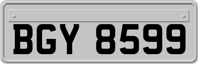 BGY8599