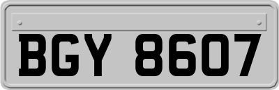 BGY8607