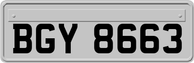 BGY8663