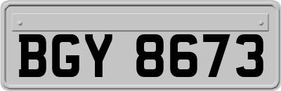 BGY8673