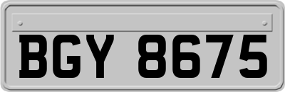 BGY8675