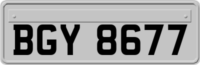 BGY8677