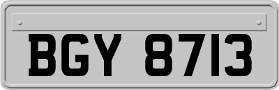BGY8713