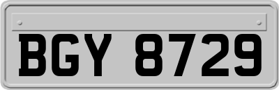 BGY8729