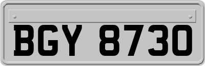 BGY8730