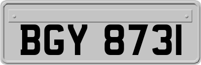 BGY8731