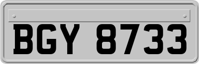 BGY8733