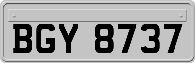 BGY8737