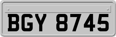 BGY8745