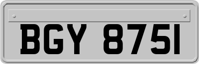 BGY8751