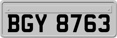BGY8763