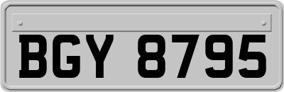 BGY8795