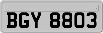 BGY8803