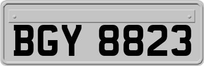 BGY8823